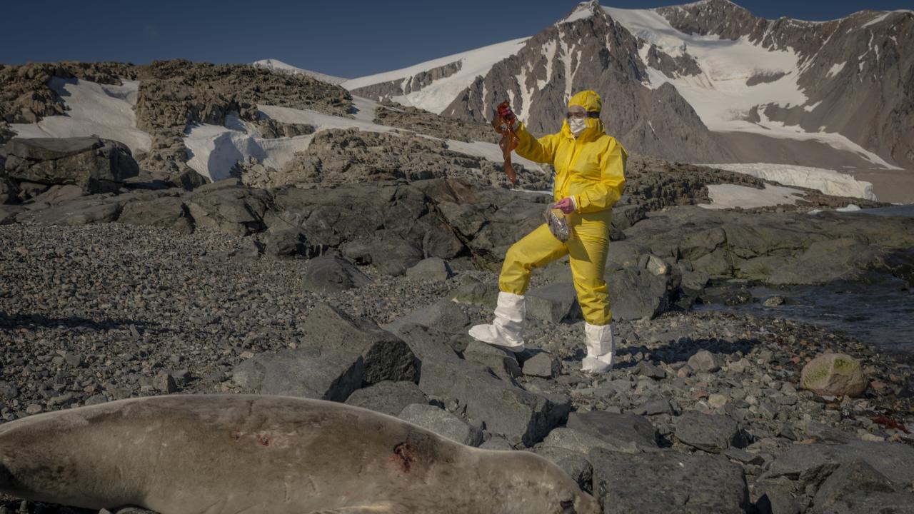 Türk bilim insanları Antarktika'daki araştırmalarıyla sağlık ve tarıma ışık tutuyor