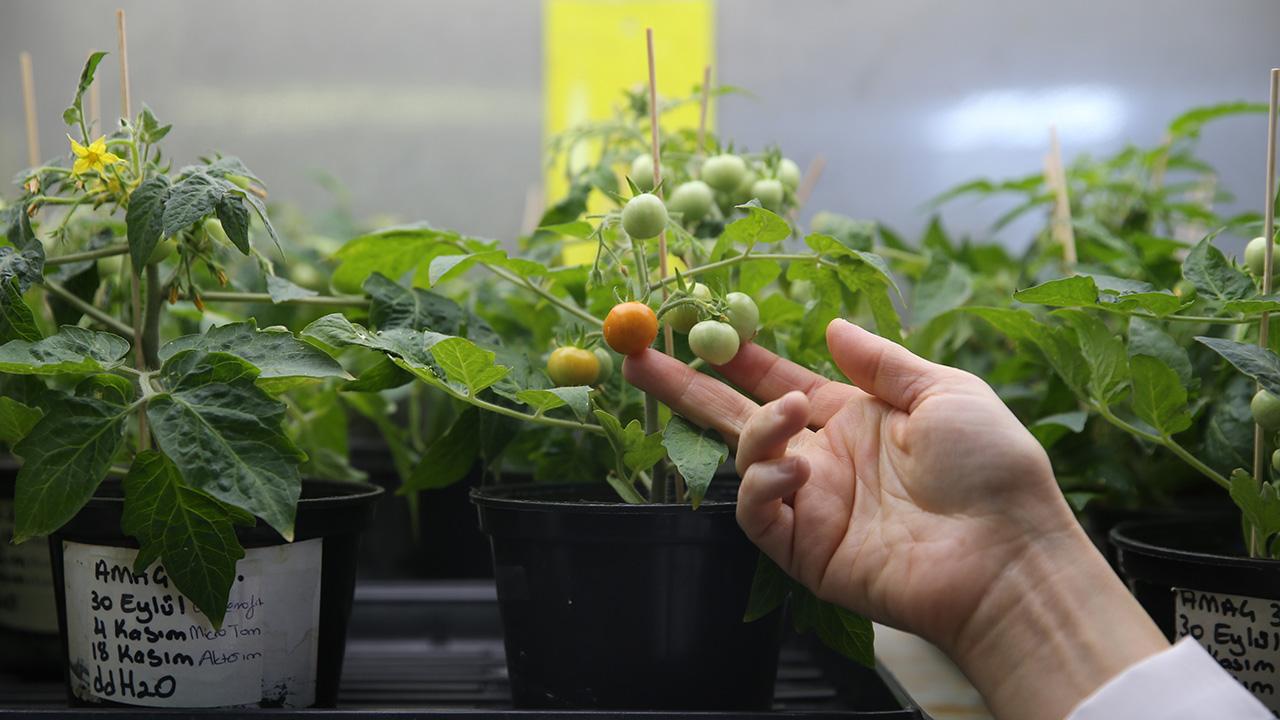 Uzay tarımı için Türkiye'den önemli adım
