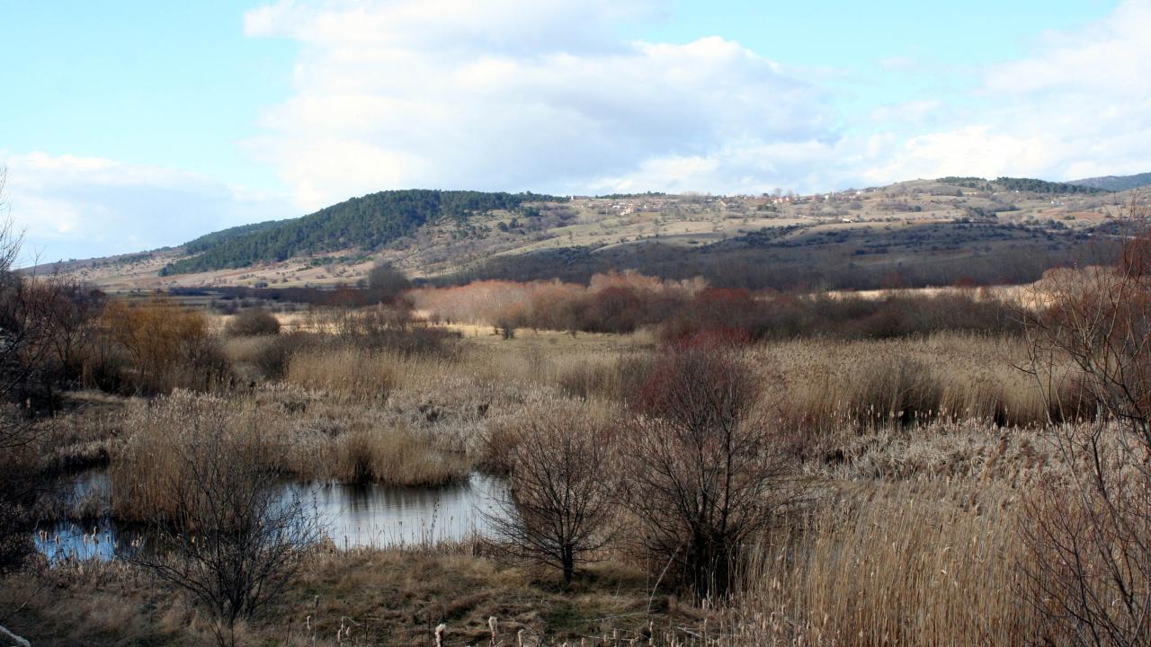 Tarımsal drenaj turbalıkları karbon fabrikasına çeviriyor